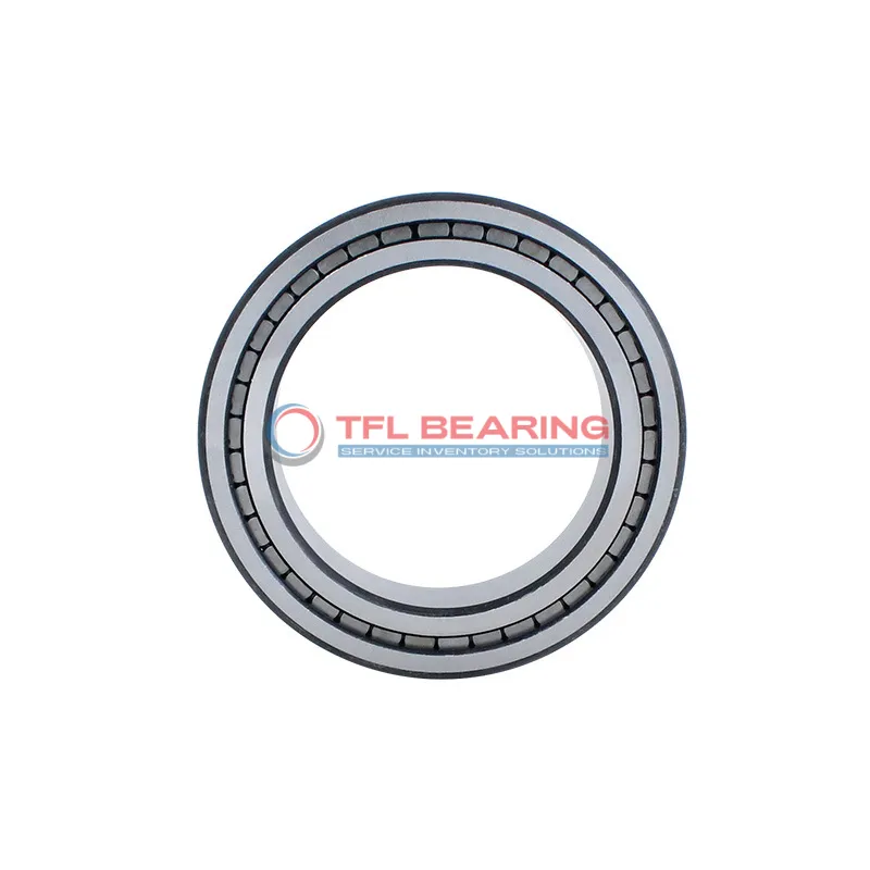 Double Row Full Complement Cylindrical Roller Bearings NNF 5024 B-2LS